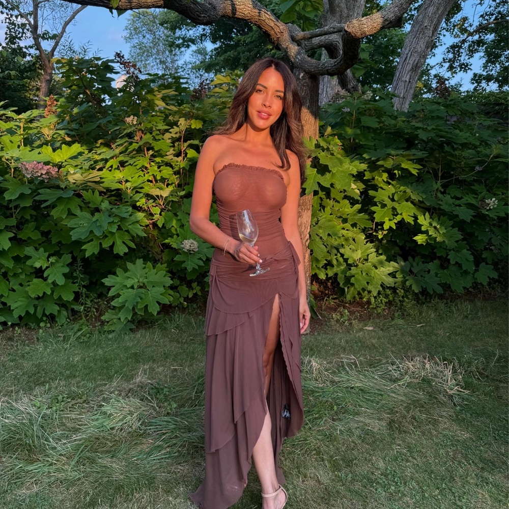 Danielle Guizio Chocolate Strapless Dress